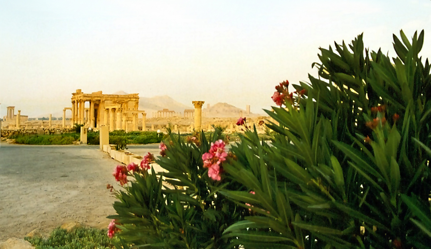 PALMYRA, SYRIA