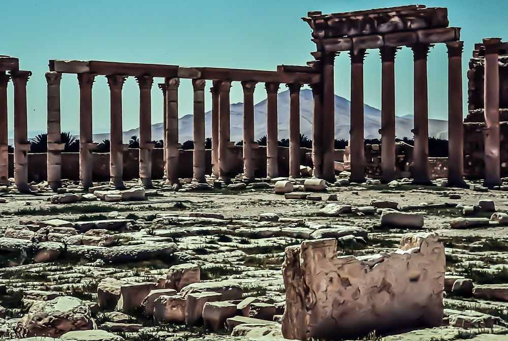 Palmyra, Syrien.   .120_4376