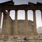 Palmyra Tadmor Bild1