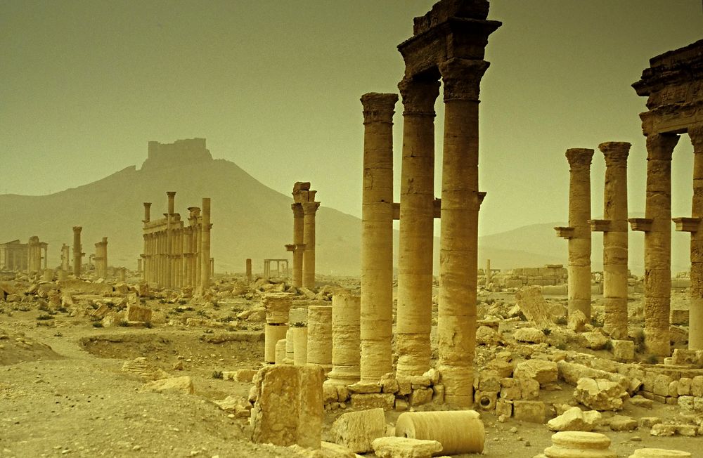 Palmyra, Tadmor Bild3
