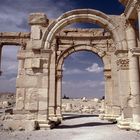 Palmyra, Tadmor Bild6