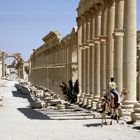 Palmyra, Tadmor Bild7