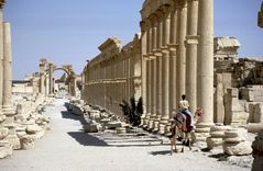 Palmyra, Tadmor Bild7