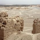 Palmyra Tadmor Bild8