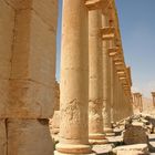 Palmyra V