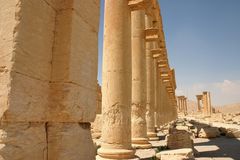 Palmyra V