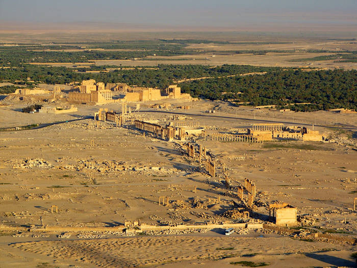 Palmyra vom Qualat ibn Maan