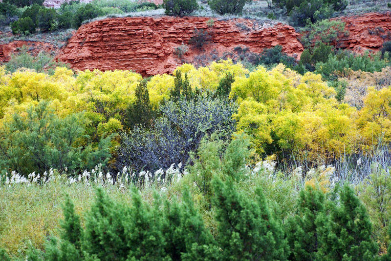 Palo Duro Canyon Autmn