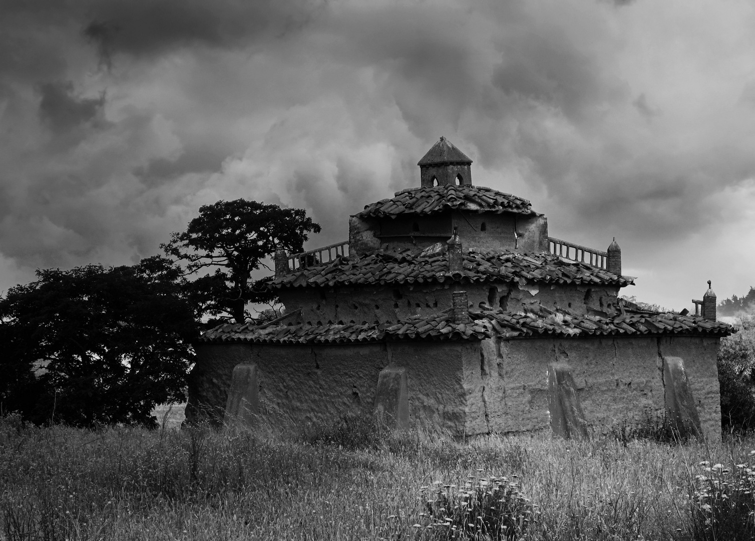 Palomar. Cerecinos de Campos. Zamora.