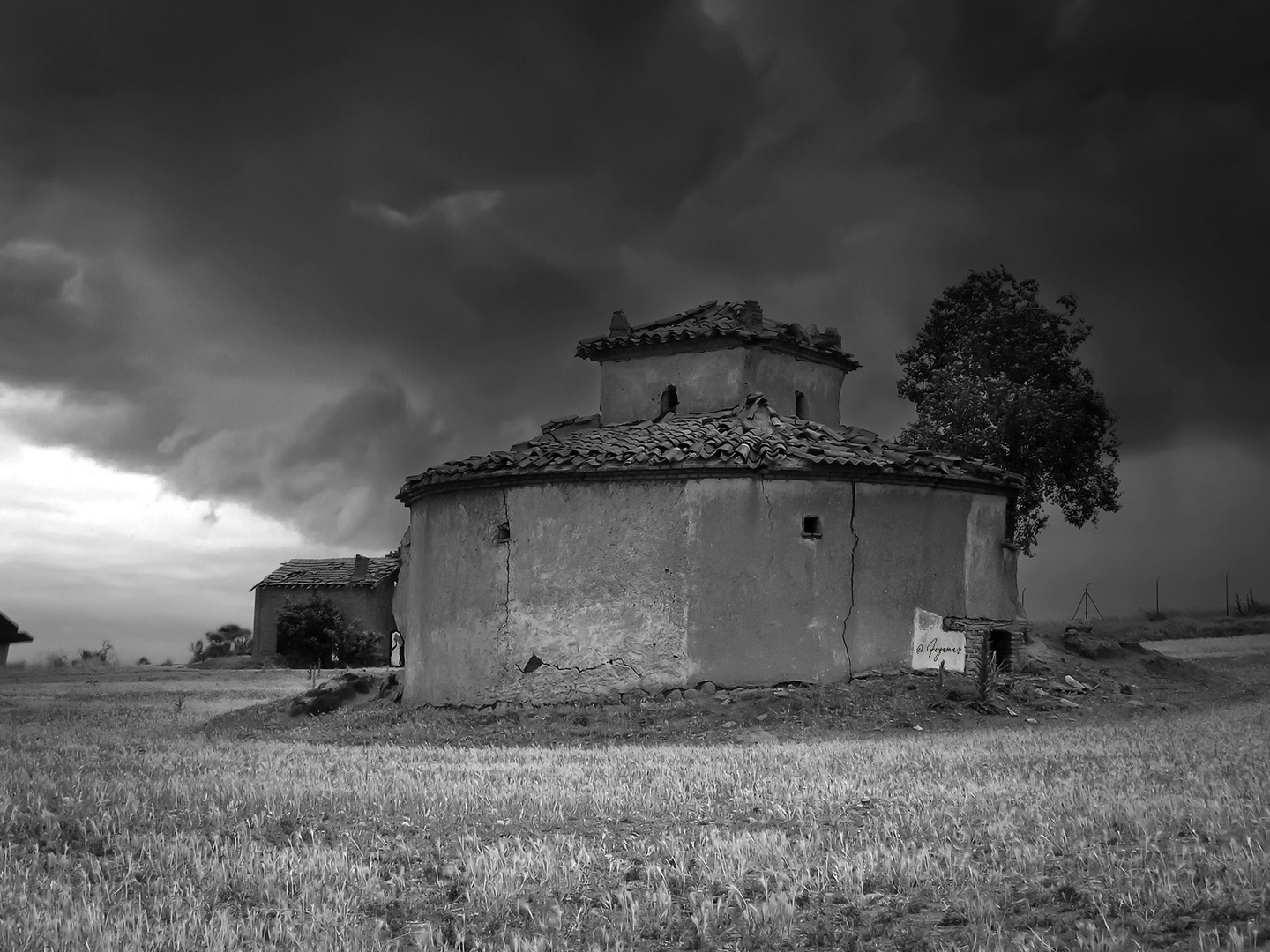 Palomar. Tierra de Campos. Zamora.