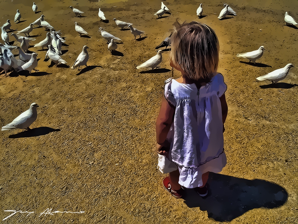 Palomas blancas