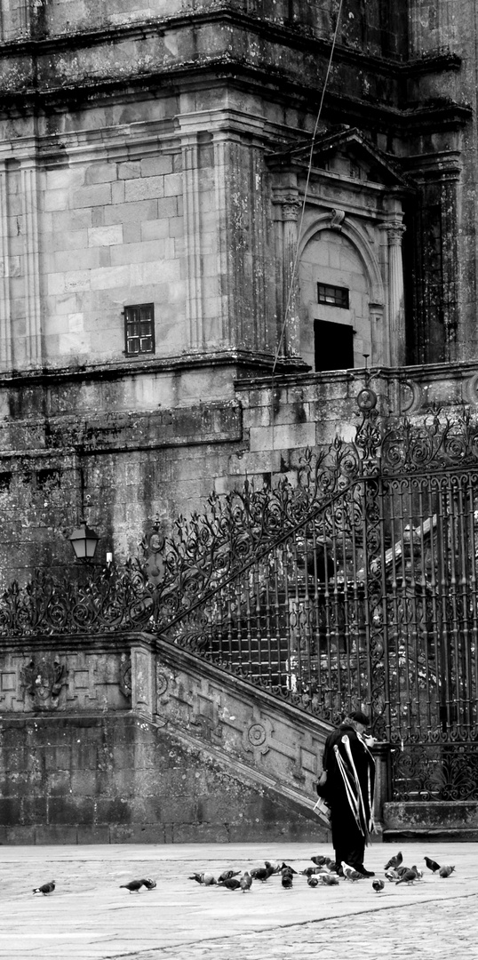 palomas en la catedral