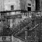 palomas en la catedral