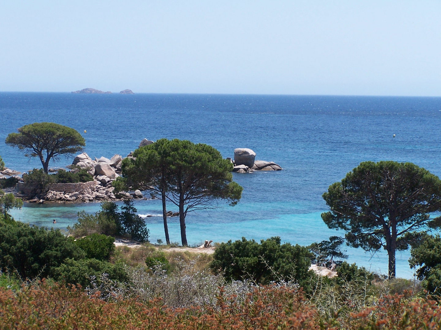 palombaggia corse du sud