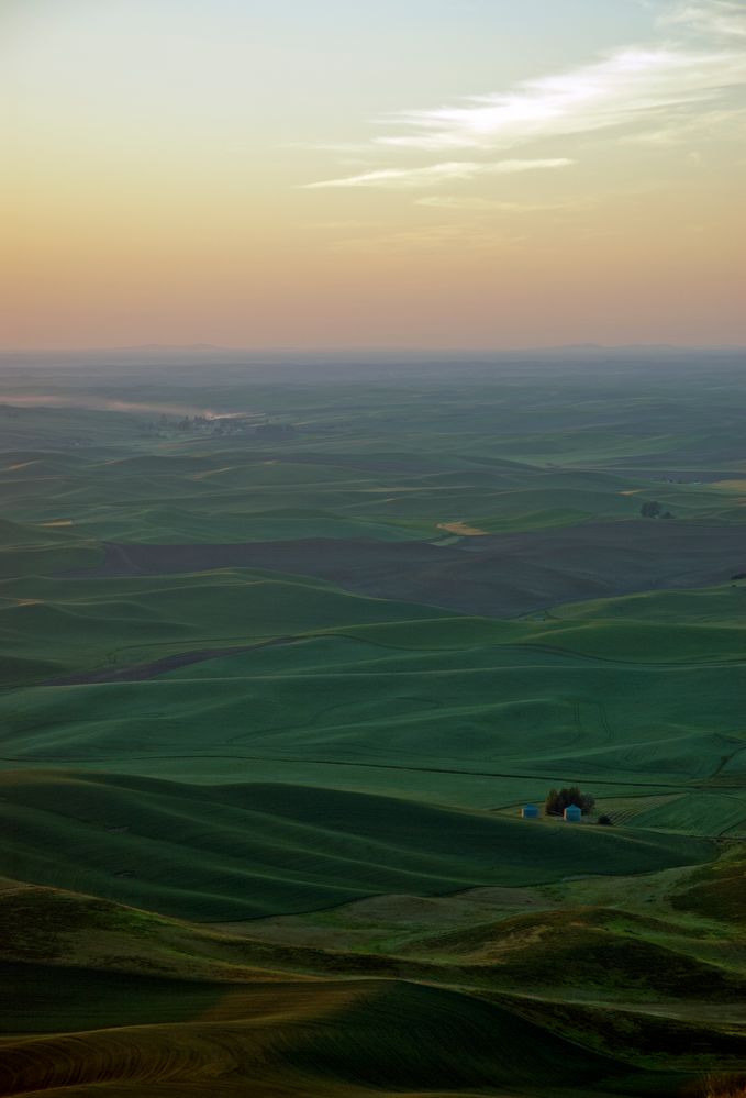 Palouse von Bär Tig 