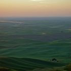 Palouse