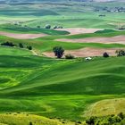 Palouse