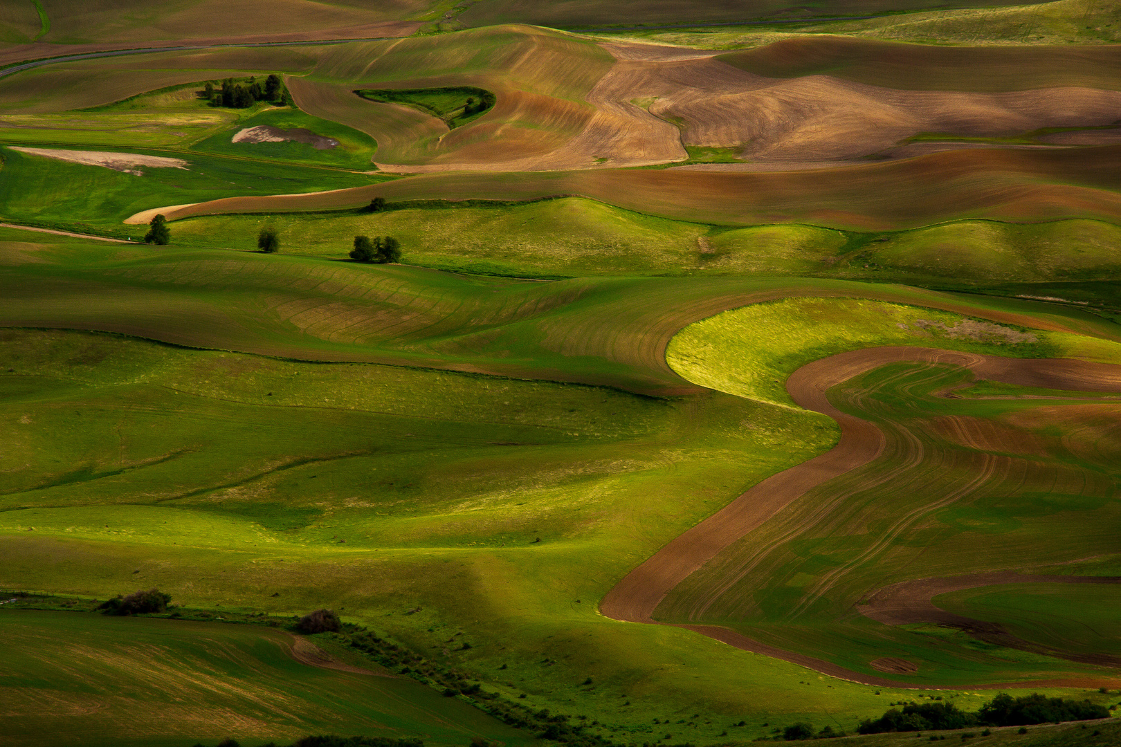 Palouse County, USA