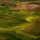 Palouse County, USA