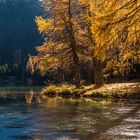 Palpuogna lake in the light