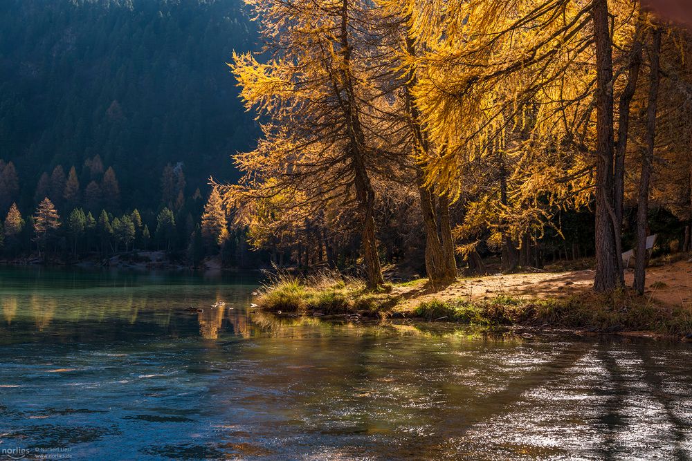 Palpuogna lake in the light