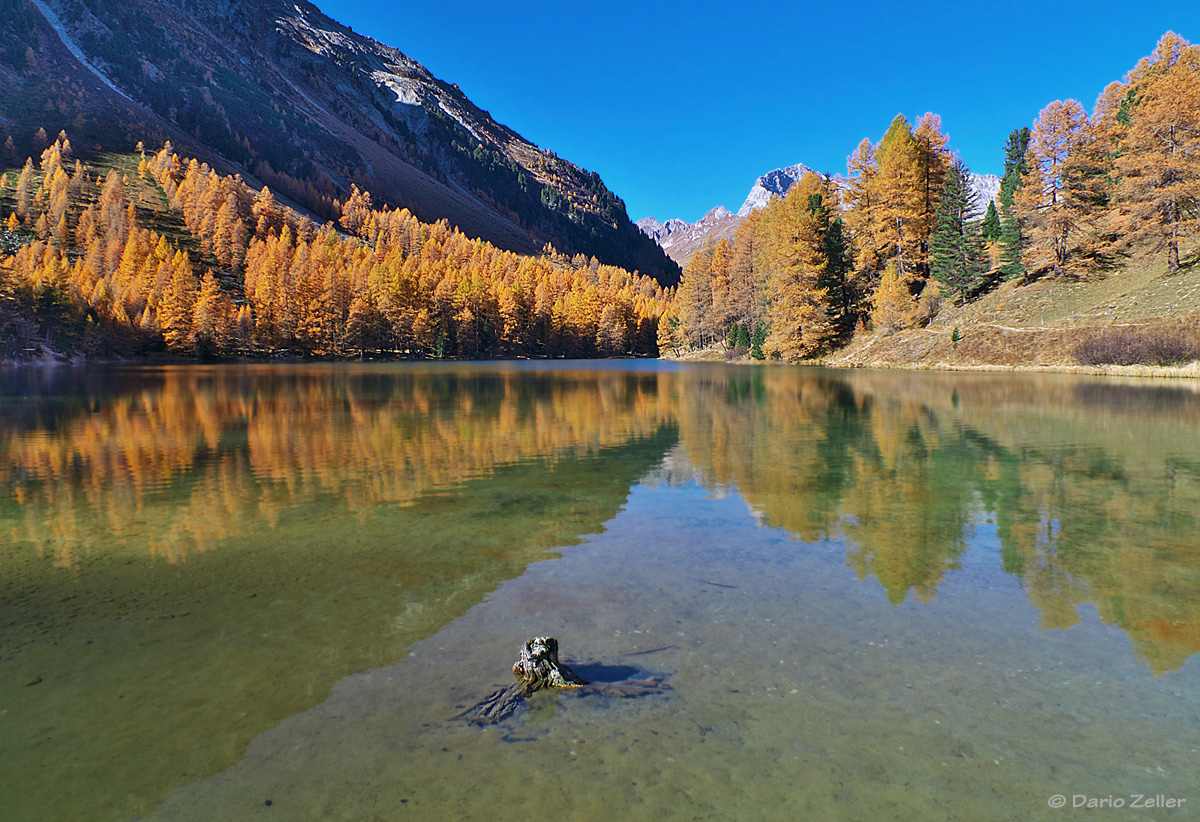 Palpuognasee im Herbst