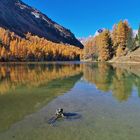 Palpuognasee im Herbst