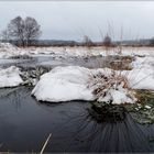 Palsen oder Moortümpel - Wandern im Venn