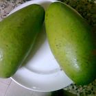 palta