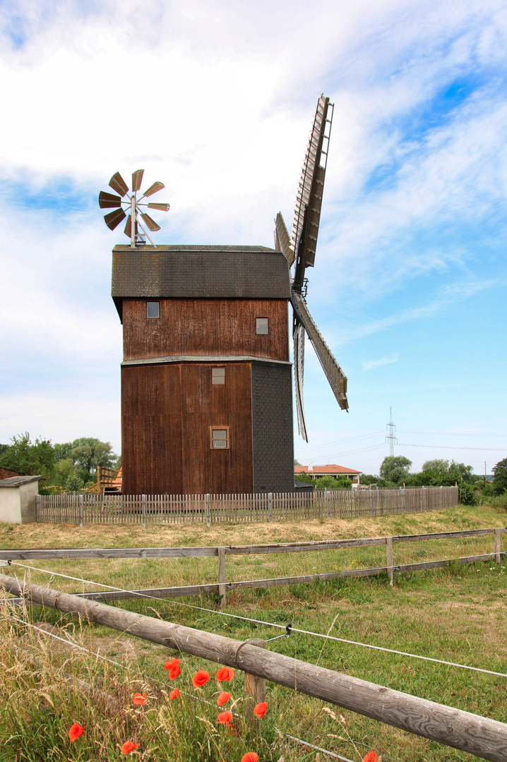  Paltrockwindmühle in Parey