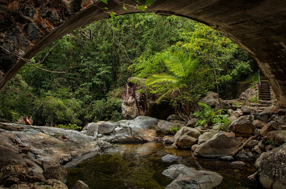 Paluma Range NP