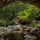 Paluma Range NP