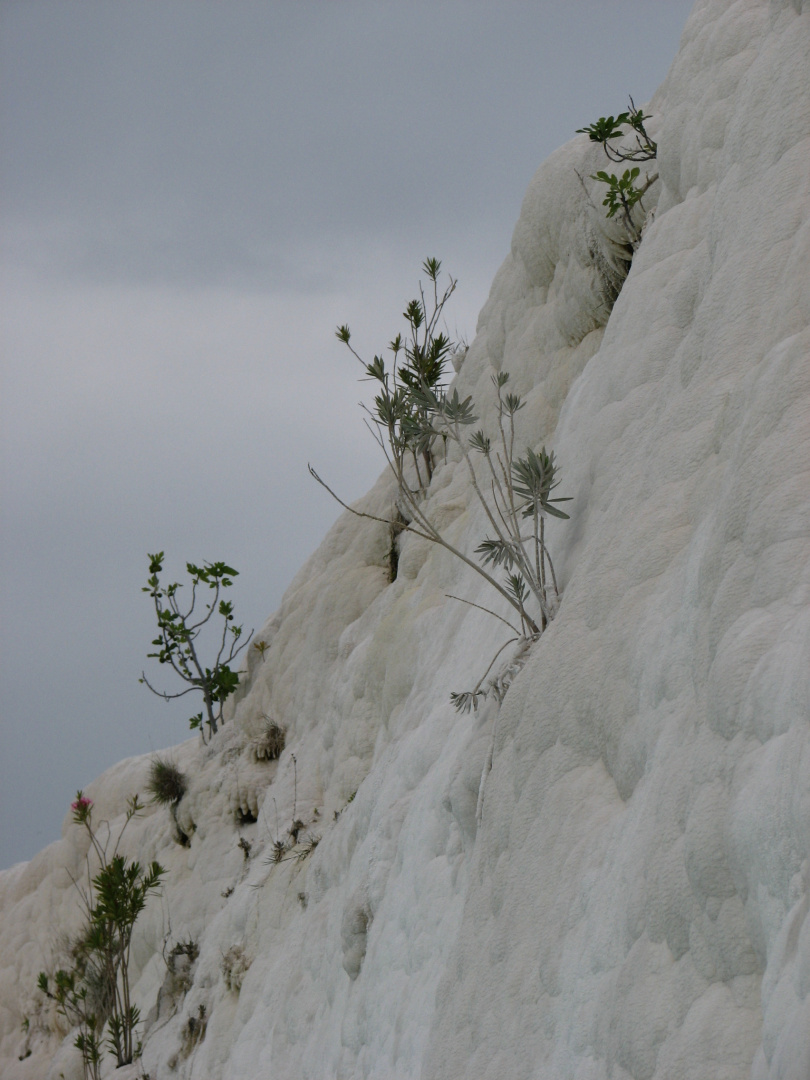 pammukale