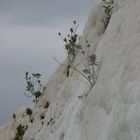 pammukale