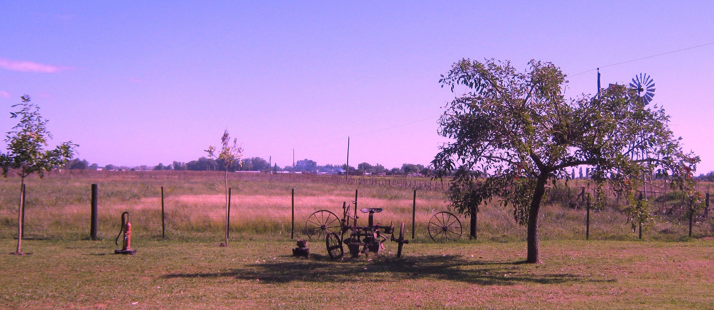 Pampa argentina