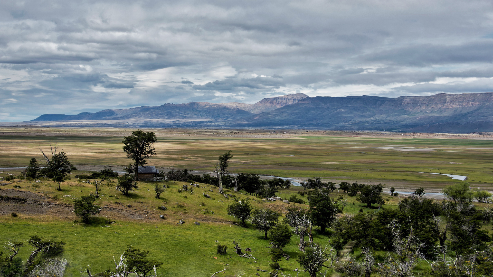 pampa / Argentinien