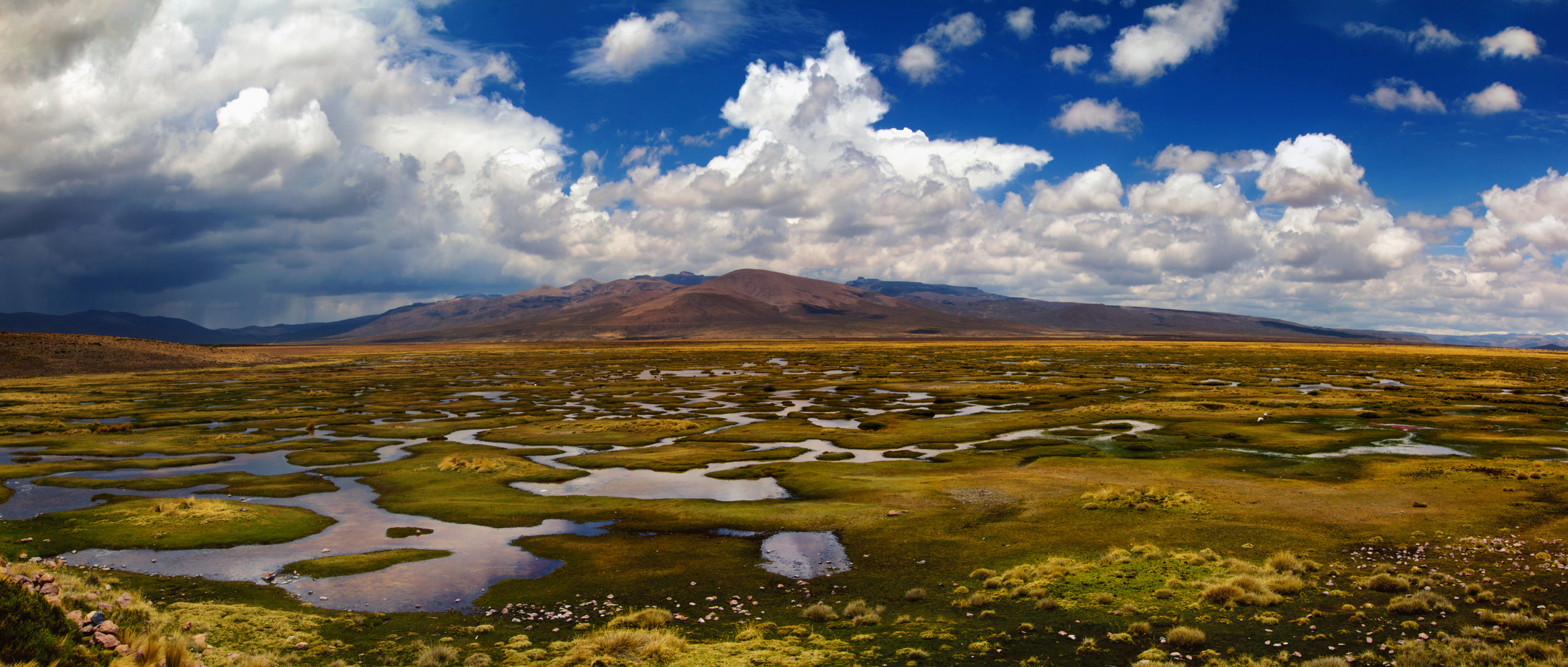 Pampa Cañahuas - Hochmoorlandschaft in Peru