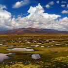 Pampa Cañahuas - Hochmoorlandschaft in Peru