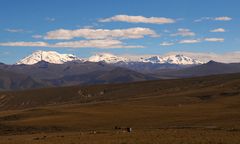 Pampa de Arrieros