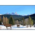 Pampeago-Dolomiti