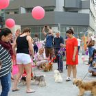 Pampered_Pets_Party_Event_Dubai_Marina