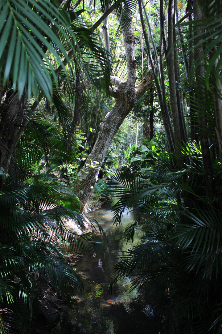 Pamplemousses Garden, Mauritius