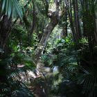 Pamplemousses Garden, Mauritius