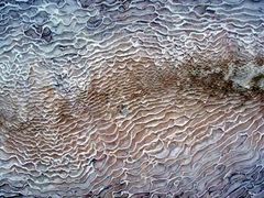 Pamukkale: Der Boden einer Kalksinterterrasse