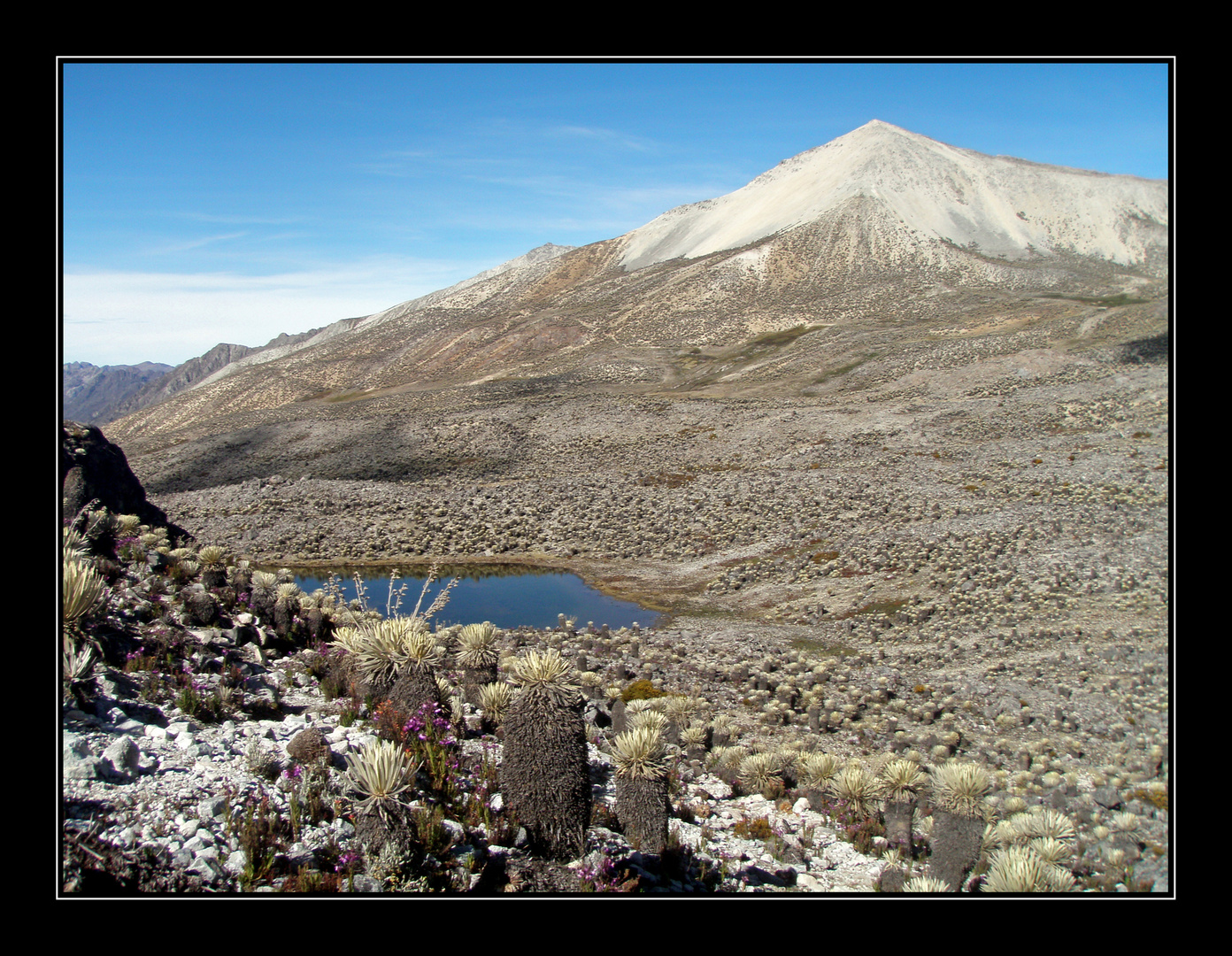 Pan de Azucar