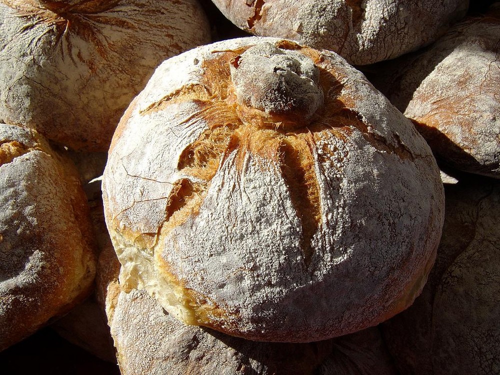 Pan en horno de leña