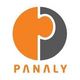 Panaly Consulting