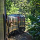 Panama Canal Railway