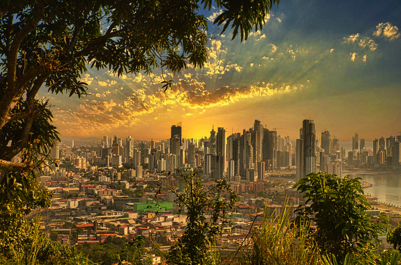 Panama City, die Skyline 