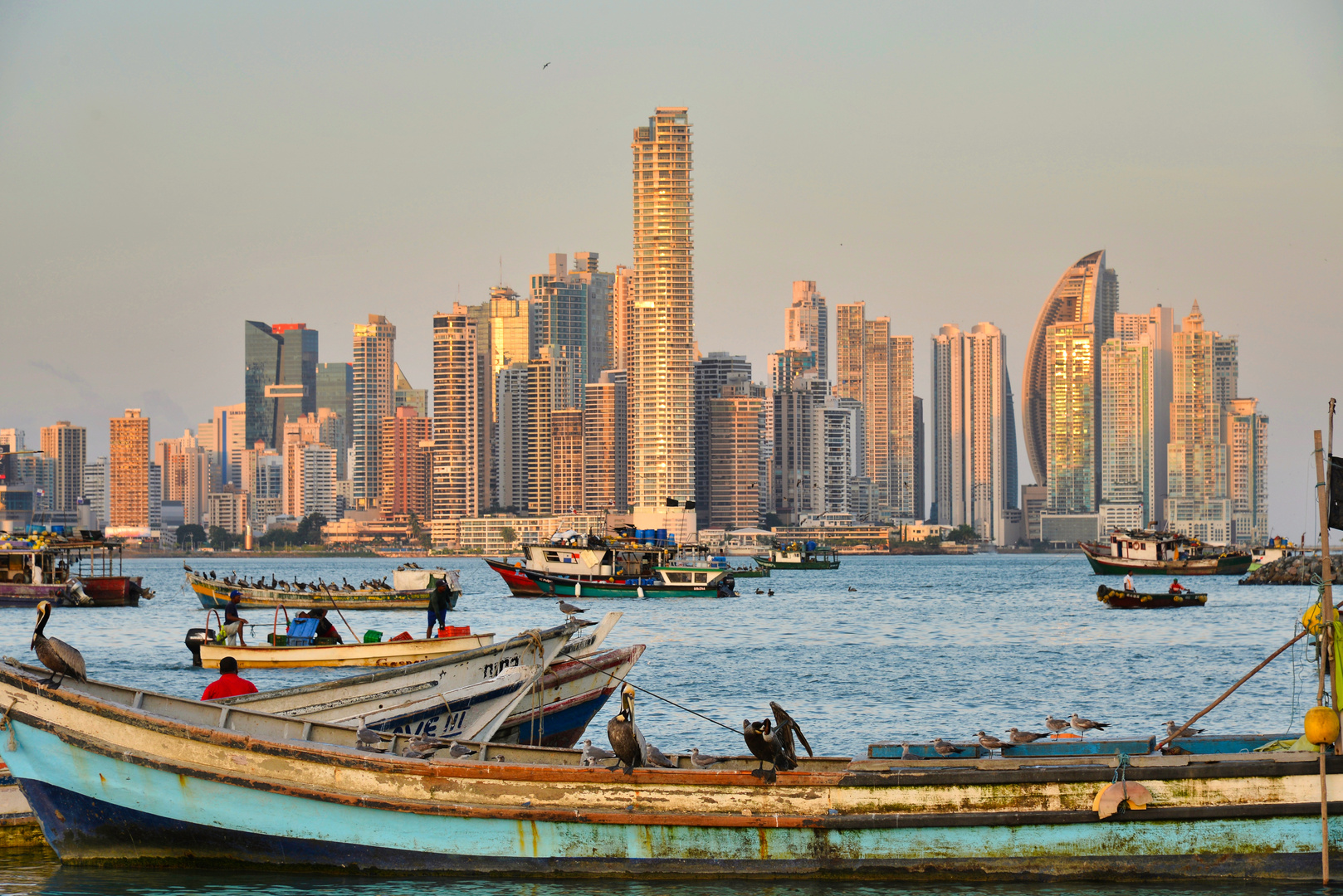 Panama City Wolkenkratzer und Boote und Pelikane